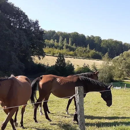 Hétvégi ház Charmante Maisonnette En Pierre Pres D'epinal - Fr-1-589-804 *
