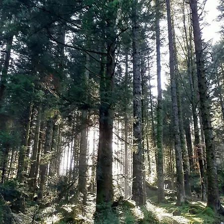 Charmante Maisonnette En Pierre Pres D'epinal - Fr-1-589-804 *