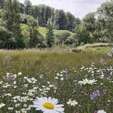 Dom wakacyjny Charmante Maisonnette En Pierre Pres D'epinal - Fr-1-589-804