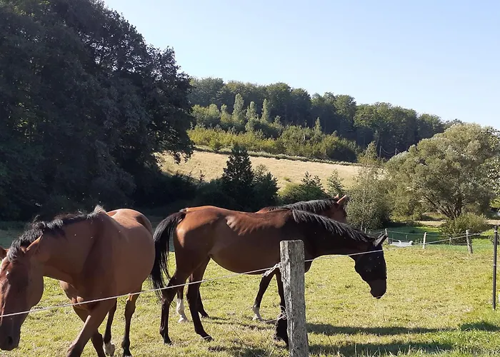 度假居 Charmante Maisonnette En Pierre Pres D'epinal - Fr-1-589-804 *