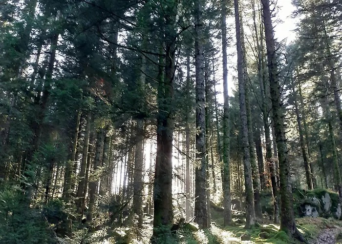 Charmante Maisonnette En Pierre Pres D'epinal - Fr-1-589-804 *